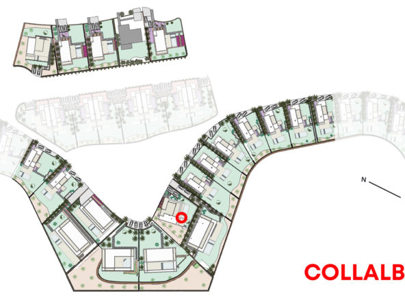 plan-collalbra